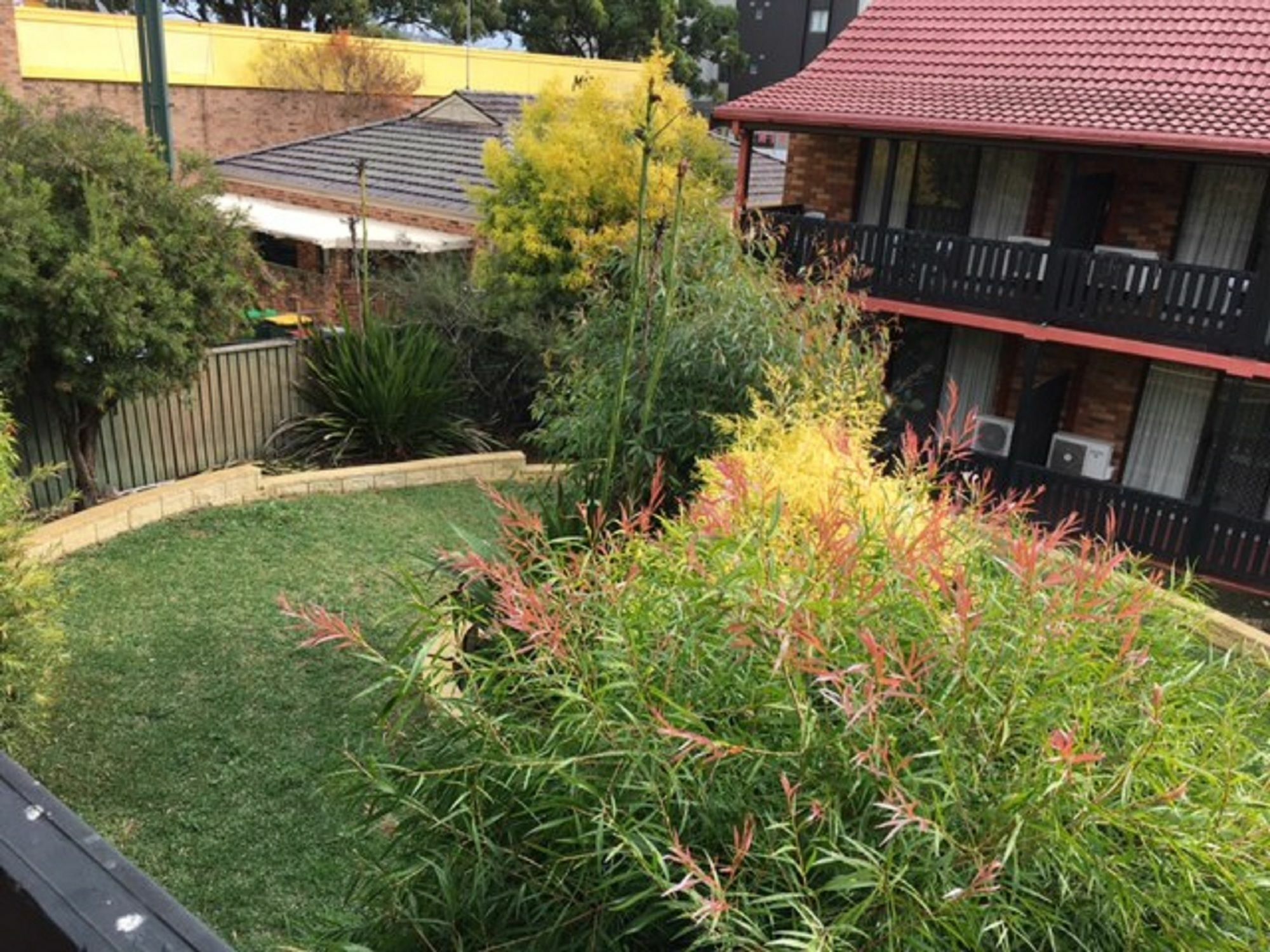 Maclin Lodge Motel Campbelltown Bagian luar foto